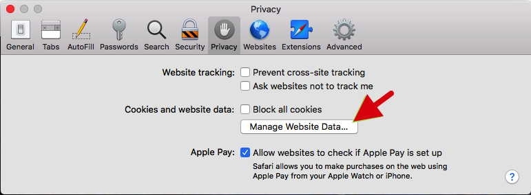 manage website data on safari